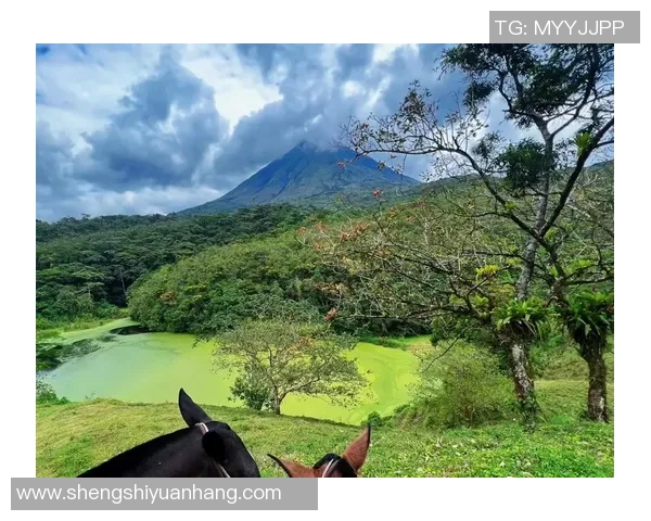 瑞士与哥斯达黎加精彩对决回放录像全程回顾与分析