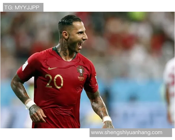 葡萄牙与伊朗精彩对决视频回顾及赛后分析 葡萄牙与伊朗精彩对决视频回顾及赛后分析