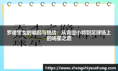 jinnianhui金年会