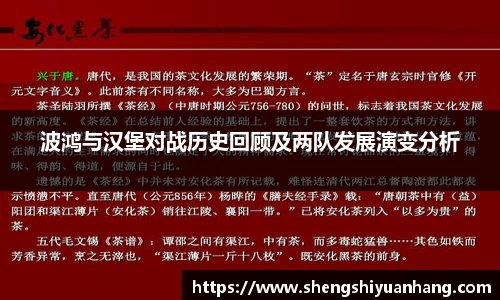 波鸿与汉堡对战历史回顾及两队发展演变分析